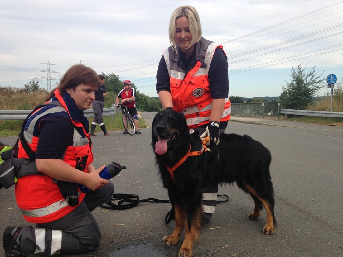 Weiden. Hochmotiviert, zielstrebig und schnell fanden Faron und sein Frauchen Melanie Dirscherl beim Training zum sogenannten Mantrailing eine vermisste Person. Die Einsatzleiterin der BRK Rettungshundestaffel Weiden trainierte gemeinsam mit den [&hellip;]