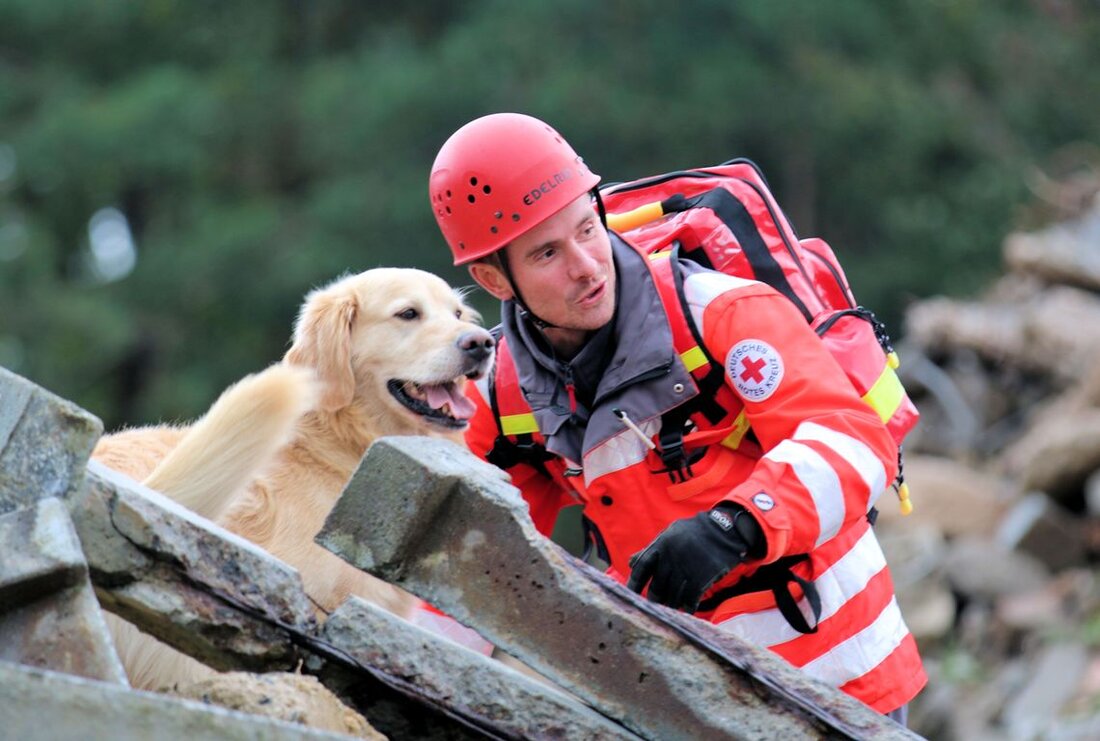 Weiden. Vermisste Personen unter Trümmern zu finden, mag für Menschen nicht einfach sein. Zum Glück haben die Einsatzkräfte aber wahre Spürnasen an ihrer Seite, die bei der Suche behilflich sind. [&hellip;]