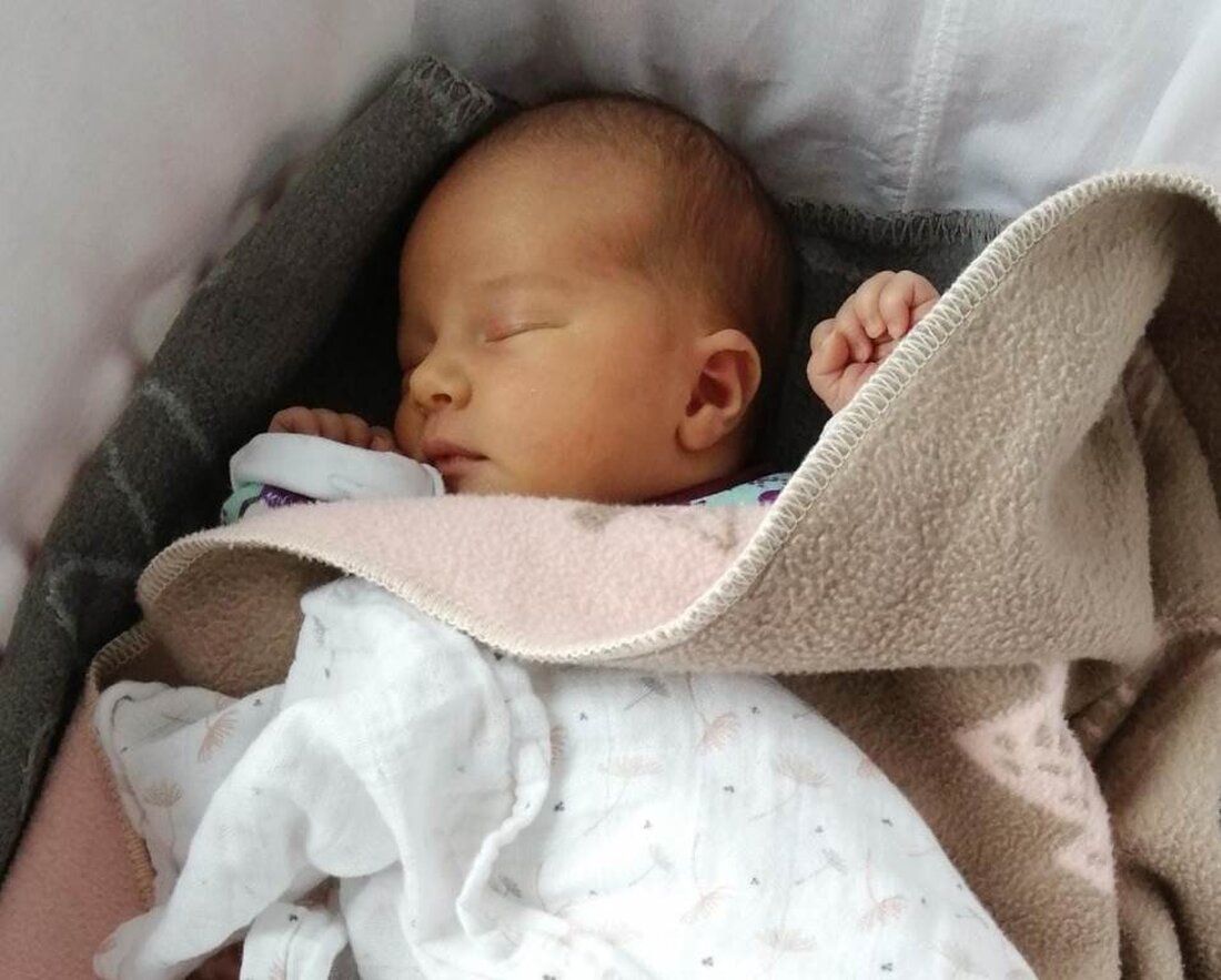 Neustadt/WN. Der Familienstart kann mit einigen Hürden verbunden sein, dafür braucht es hilfreiche Tipps und Unterstützung. Daher ist es immens wichtig, ein Verständnis für das Verhalten von Babys zu bekommen. 