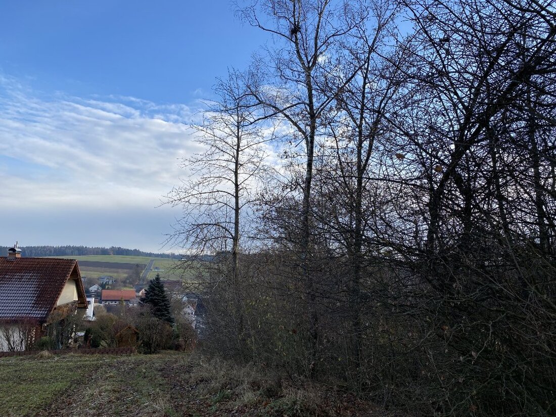 Letzau. Der Gemeinderat spricht sich grundsätzlich für den Bau von Photovoltaik-Freiflächenanlagen auf Gemeindegebiet aus. Alle Fraktionen bekunden, diese Form der Energieerzeugung fördern zu wollen. Ein Freibrief für Investoren ist das [&hellip;]