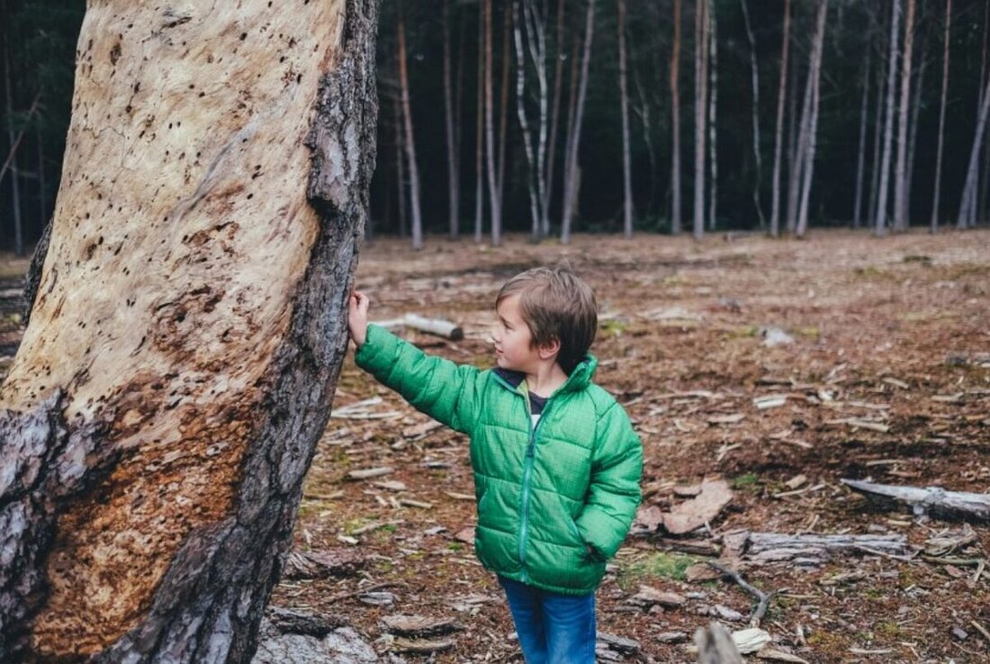 Oberpfalz. Die Region ist ein echter Geheimtipp für Familien, die gemeinsam etwas erleben möchten. Zwischen sanften Hügeln, klaren Seen, historischen Städten und actionreichen Freizeitparks bietet die Region eine Vielfalt, die Kinder wie Erwachsene begeistert.