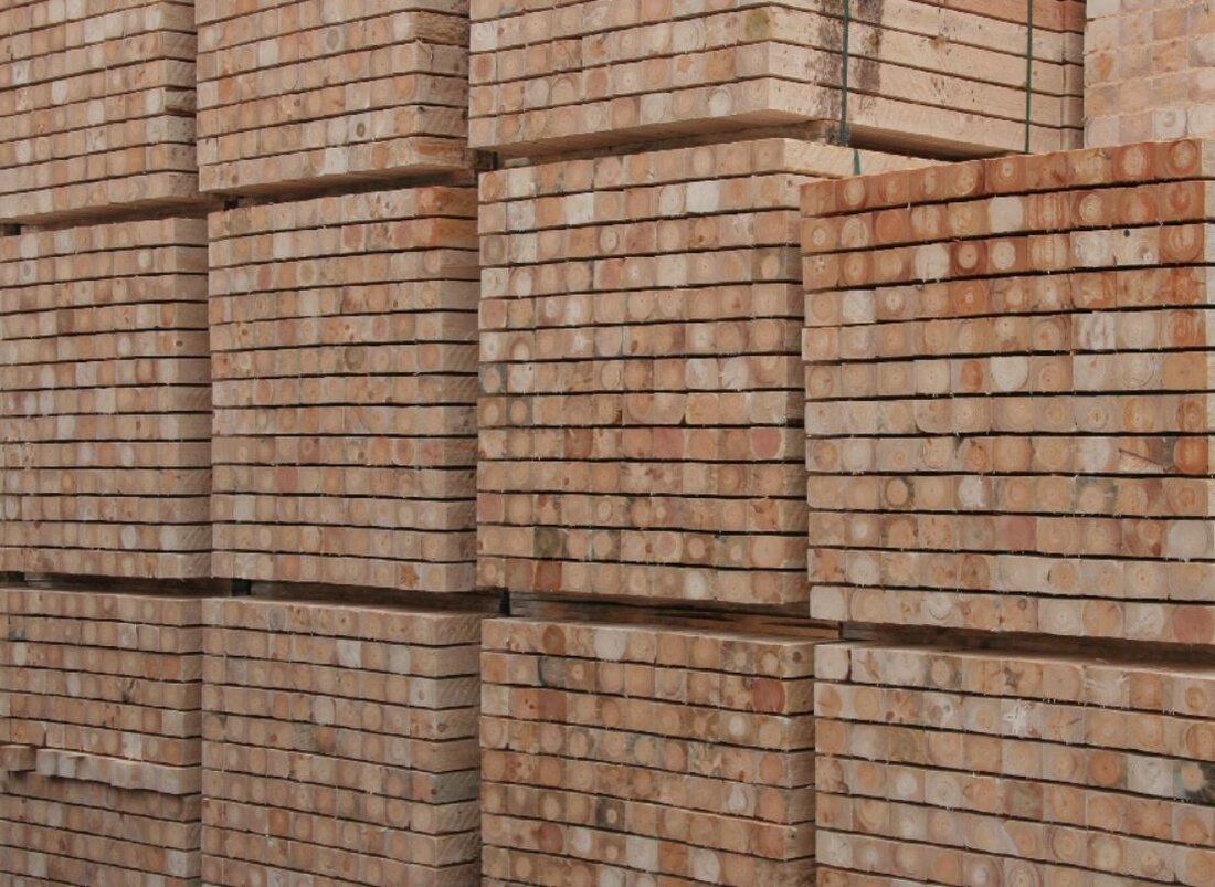 Regensburg. Die Bayerischen Staatsforsten nehmen die Holzlieferungen an das insolvente Sägewerk der Ziegler Group in Plößberg wieder auf. Eine Vereinbarung für 2025 steht, vorbehaltlich der Sicherheitsleistung.