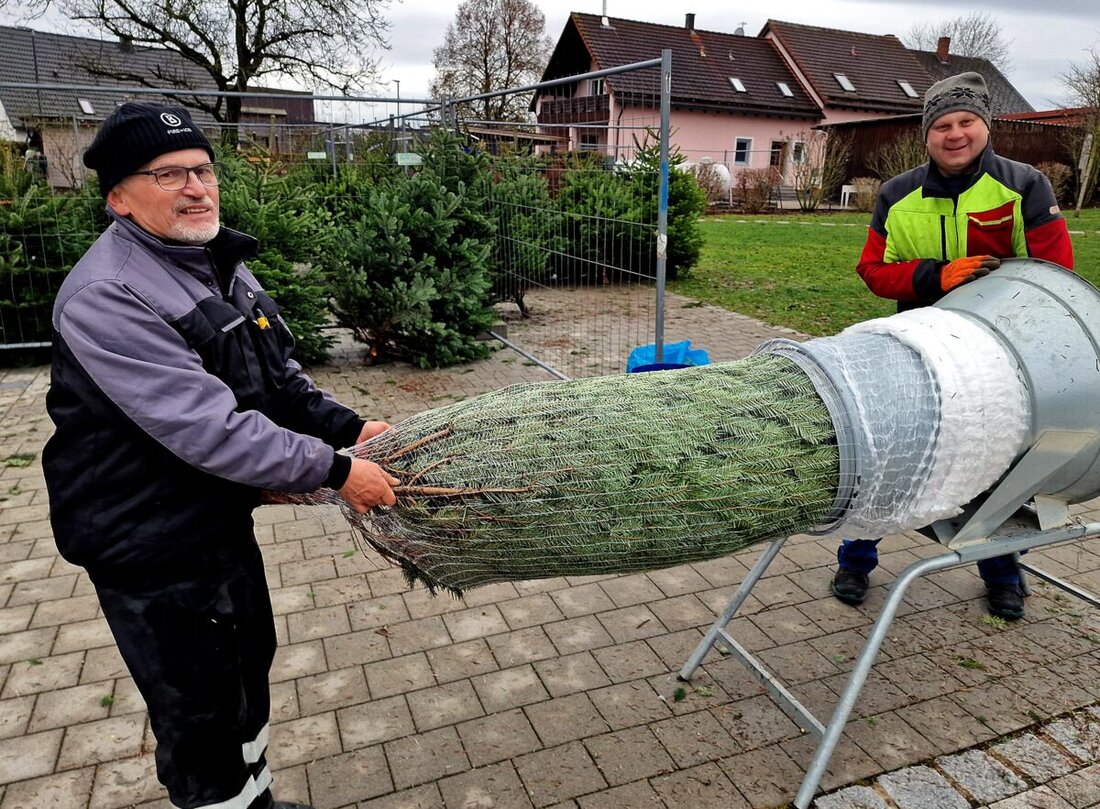 Bechtsrieth. Der Pfarrgemeinderat verkaufte am Samstag zum 15. Mal Weihnachtsbäume und plant den Erlös einer sozialen Einrichtung zu spenden. Fast alle der 80 Bäume waren in nur fünf Stunden verkauft.