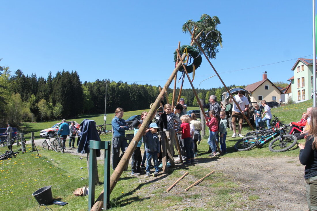 Georgenberg. Am 1. Mai stellten Kinder mit dem OWV an der Alten Mühle in Gehenhammer den Maibaum auf. Die Begeisterung war groß, Väter halfen mit, am Ende gab es reichlich Beifall und Lob.
