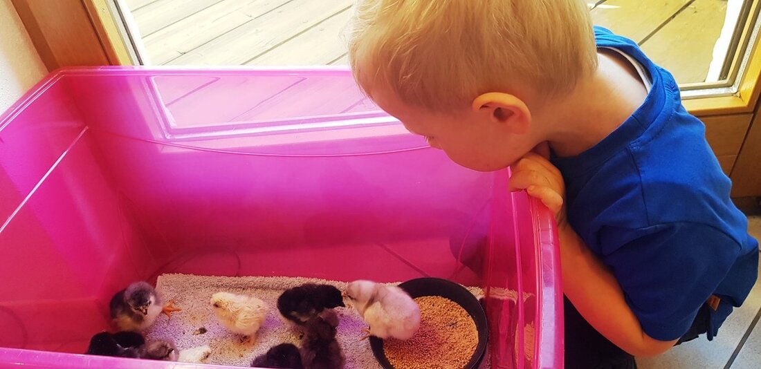 Neustadt/WN. Seit gut einem Jahr zeigt der Landkreis Neustadt auf der Waldnaab auf der Seite www.new-perspektiven.de, dass es sich in vielerlei Hinsicht lohnt, im Landkreis NEW zu leben. Aufgrund der [&hellip;]