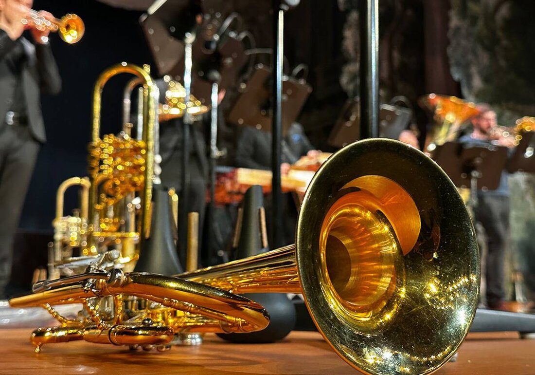 Selb. Das Benefizkonzert "Mit Musik mehr erreichen" findet im Rosenthal-Theater in Selb statt und wird in Zusammenarbeit mit der Internationalen Orchesterakademie Bayreuth, der Stadt Selb und der Firma Netzsch organisiert. Die Erlöse des Konzerts am 29. April 2025 um 19.30 Uhr unterstützen schwer- und krebskranke Kinder in Selb und Umgebung. Tickets sind über okticket.de verfügbar.