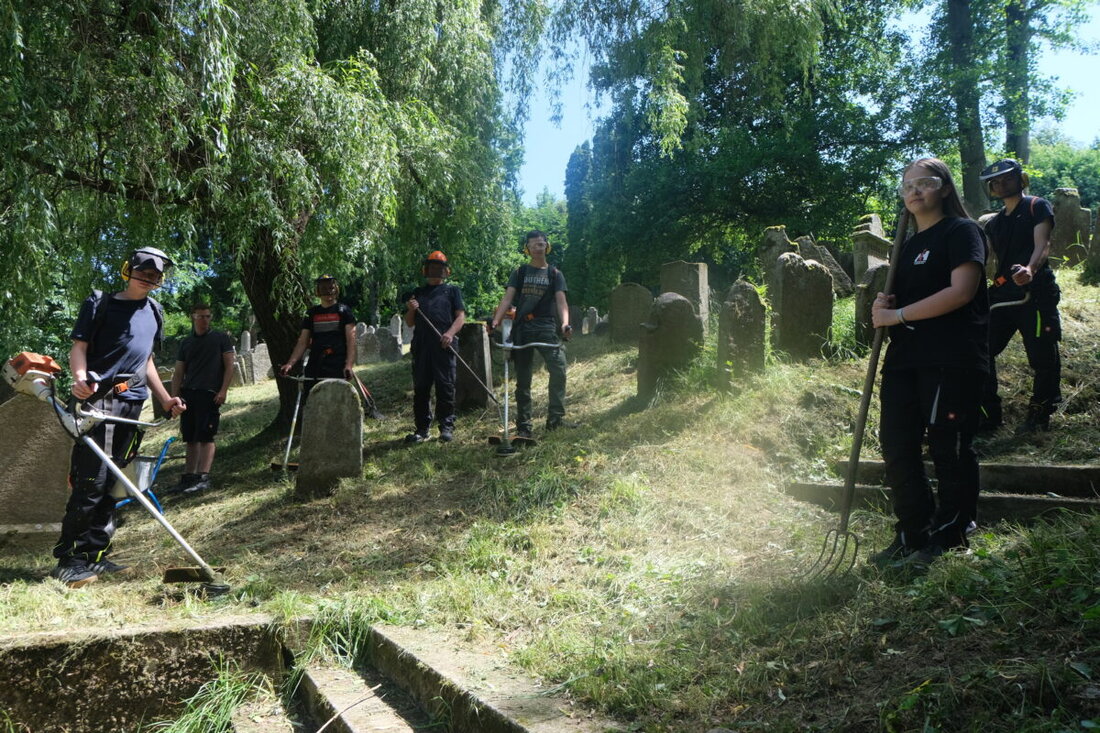 Floß. Berufsschüler aus Neustadt führen ehrenamtliche Pflege am jüdischen Friedhof in Floß durch, eine Praxis, die Respekt und Interesse an jüdischer Geschichte weckt. Die seit Jahren bestehende Kooperation zeigt die Bedeutung von Gemeinschaftsarbeit und den Kampf gegen Antisemitismus und Rassismus.