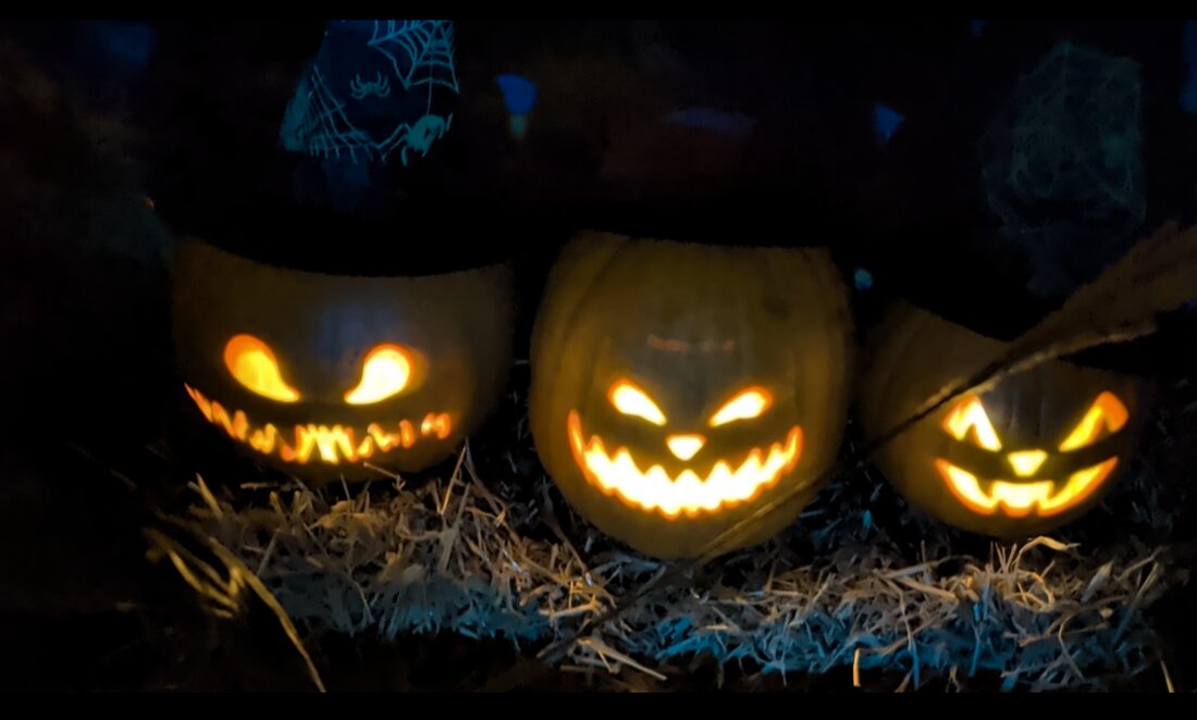 Krummennaab. Trotz Sturmschaden und Last-Minute-Aufbau feierte das Hocus Pocus Hexenhaus der Halloweenfreaks Steinwald einen Besucherrekord. Rund 150 Mutige folgten dem Gesang der Hexe durch Garten, Friedhof und Haus.