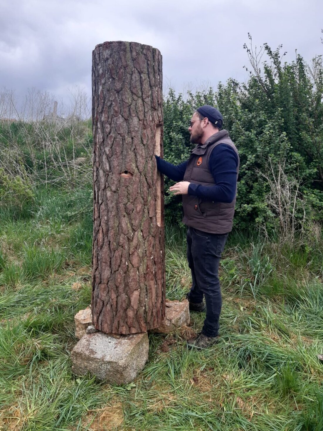  Bärnau. Es summt und brummt im Geschichtspark Bärnau-Tachov. Angeregt durch die „Zeidler Verordnung“, die Karl IV. im 14. Jahrhundert erlassen hat, hat ein Darsteller beschlossen, das historische Imkerwesen in unser Museum zu bringen. 