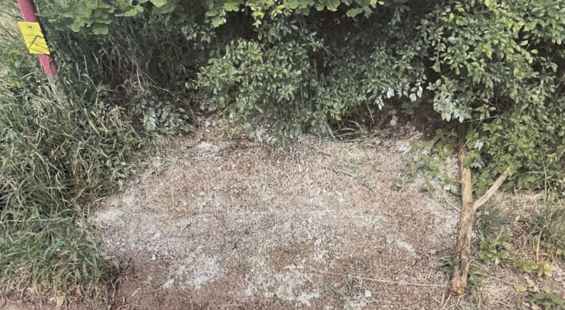Nabburg. Ein aufmerksamer Passant stellte in der vergangenen Woche direkt neben dem Bergelshofer Steig fest, dass ein bislang unbekannter Täter eine weiße giftige Substanz auf ein ganzes Ameisenvolk aufgebracht hat. 