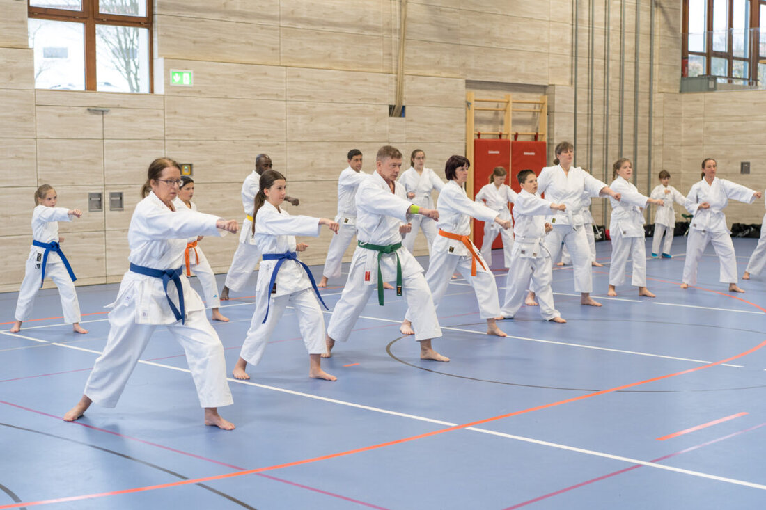 Vohenstrauß. Das Karate-Dojo Vohenstrauß feierte am Wochenende ein ganz besonderes Jubiläum: Seit 35 Jahren wird in der Pfalzgrafenstadt mit Leidenschaft und Disziplin Karate trainiert. Anlässlich dieses Meilensteins veranstaltete das Dojo einen Jubiläumslehrgang – mit großem Erfolg und einer Rekordbeteiligung.