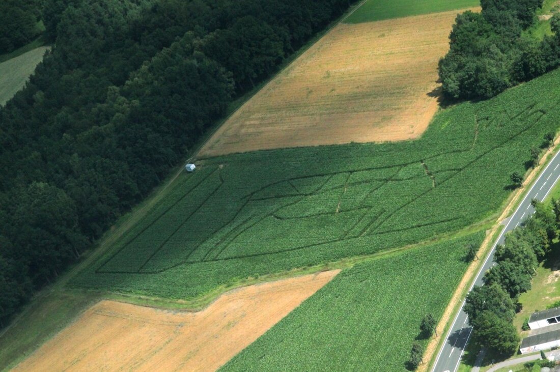 Altenstadt/WN. Es ist der Albtraum vieler Menschen sich in einem Labyrinth zu verirren und den Ausgang nicht mehr zu finden. Wer sich diesem Nervenkitzel stellen möchte ist ab Samstag im Maislabyrinth [&hellip;]