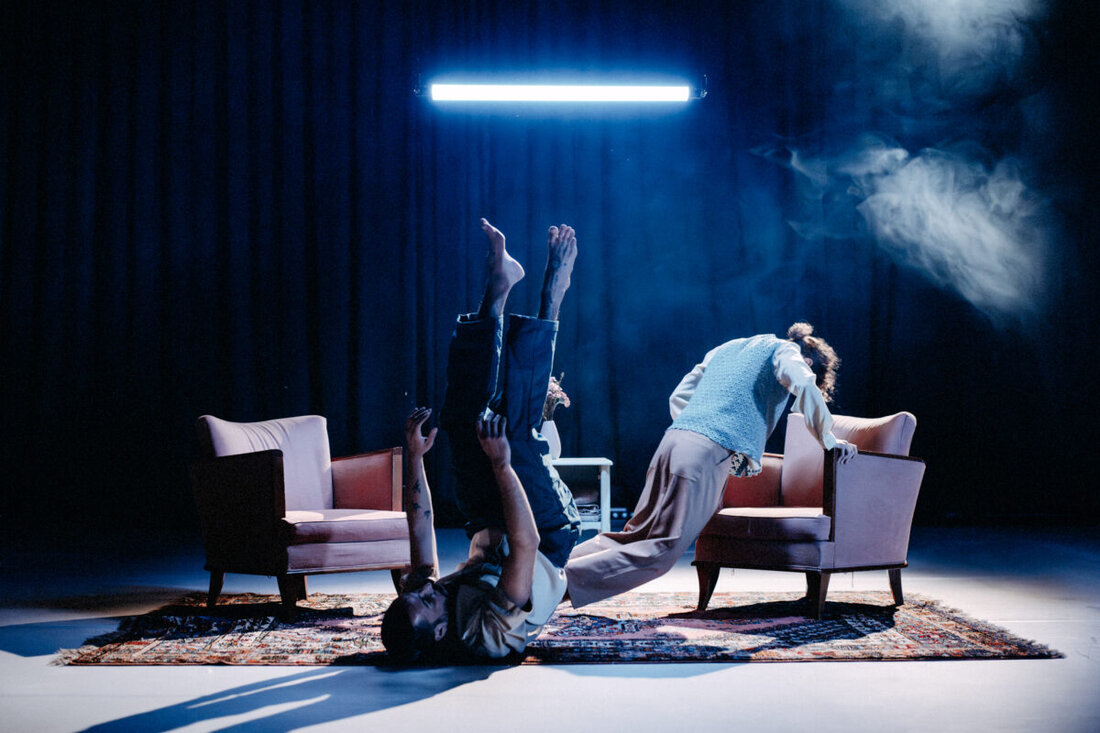 Amberg. Am Donnerstag gastiert die Tanzkompanie der Freiburger Choreografin Nadine Gerspacher um 19.30 Uhr mit ihrer Produktion „Birdsland“ im Stadttheater Amberg.