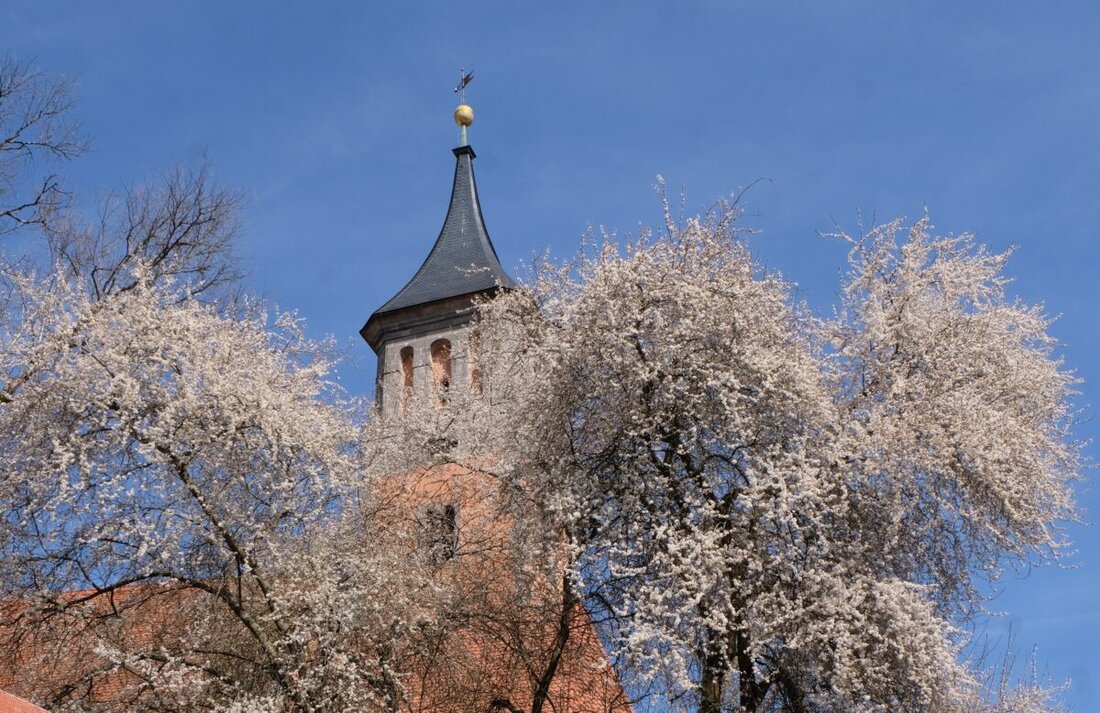 Floß. Die Blütenpracht zur Frühlingszeit entfaltet sich rund um den Kirchturm der evangelischen Kirchengemeinde St. Johannes Baptista, entlang des Dr. Martin-Luther Rings. 