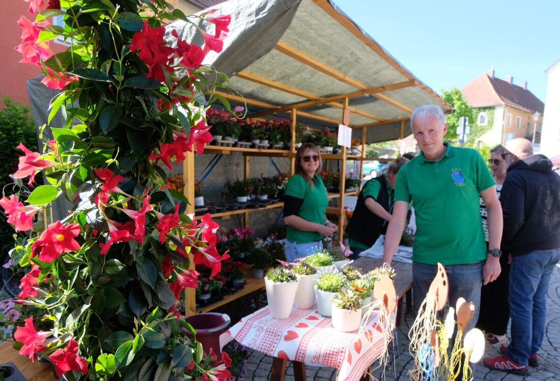 Floß. Über 500 Preise lockten bei der traditionellen Blumentombola des Oberpfälzer Waldvereins am Muttertag. 