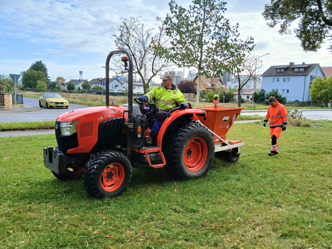 Schwandorf. Die Stadt lässt über 50.000 Blumenzwiebeln pflanzen, davon rund 46.000 maschinell und 8000 von Hand, damit ab März/April 2026 jedes Jahr ein farbenfrohes Blütenmeer entsteht.
