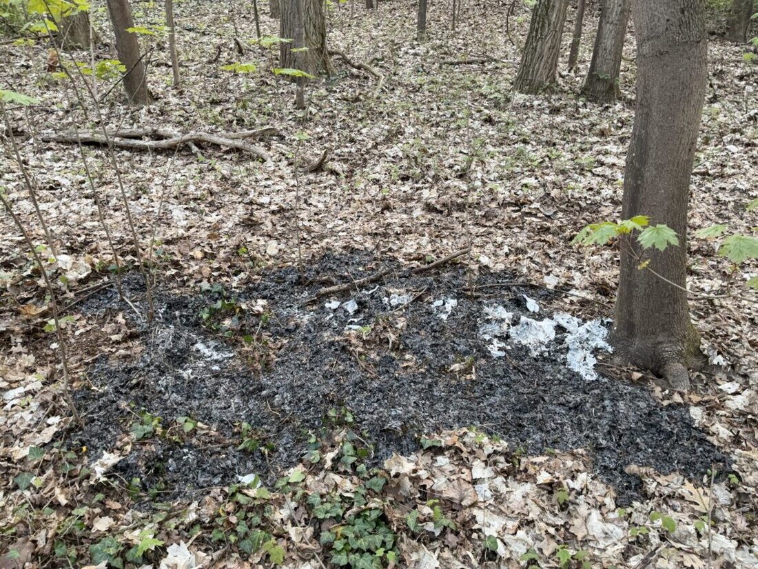 Schwandorf. Am Kreuzberg brannte eine etwa zwei Quadratmeter große Brandstelle, Polizei löschte; in Wackersdorf stießen Lastwagen und Auto, rund 5.000 Euro Schaden. Außerdem kam eine 13-jährige Schülerin ins Krankenhaus.