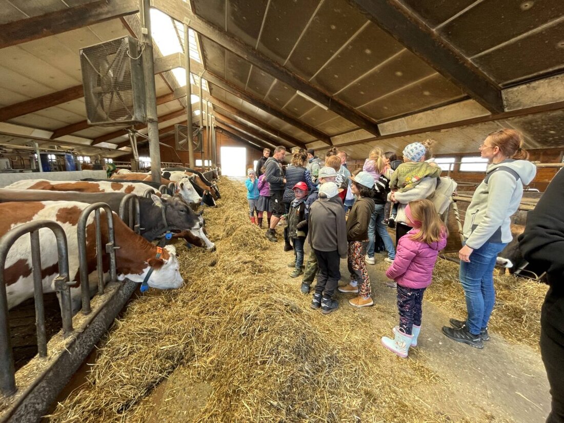 Moosbach. Kinder und Familien erlebten einen lehrreichen Nachmittag auf dem Biobauernhof Pösl, wo sie die Herkunft von Lebensmitteln entdeckten. Es gab u. a. traditionelles Ausbuttern und die Möglichkeit, Tiere zu streicheln.