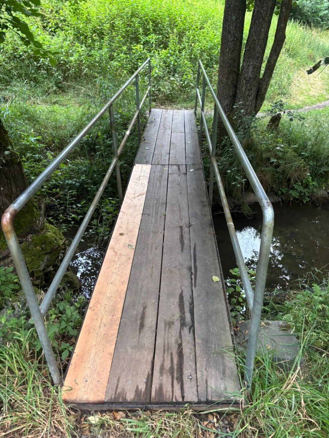 Weiden. Seit Jahren setzt sich der CSU-Ortsverband Rehbühl für den Erhalt des Rehmühlbaches als Naherholungsgebiet für die Bürger und Frischluftschneise in der Stadt ein. Der Bach zählt zu den ältesten dokumentierten Gewässern Weidens.