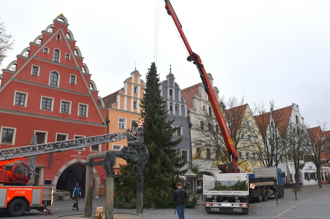 Weiden. Es ist ein erster kleiner Vorgeschmack auf das weihnachtliche Stadtbild: Die ersten Christbäume in Weiden stehen!  Von Jürgen Wilke  Alle Jahre wieder stellt die Stadt Weiden seine Weihnachtsbäume auf. [&hellip;]