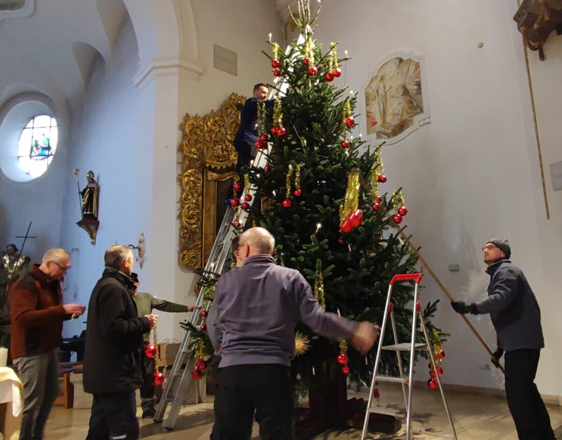 Floß. Der Katholische Männerverein hat den Christbaum in der St. Johannes Kirche aufgestellt, der am Heiligen Abend in voller Pracht zu bewundern sein wird.