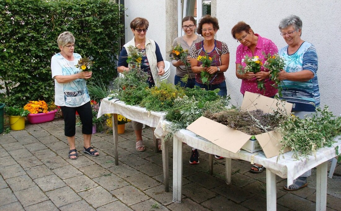 Mitterteich. Zum Fest Mariä Himmelfahrt oder wie es heute heißt Fest der Aufnahme Mariens in den Himmel am 15. August ist es Brauch, die Kräuter zu weihen. Mitglieder des Mitterteicher [&hellip;]