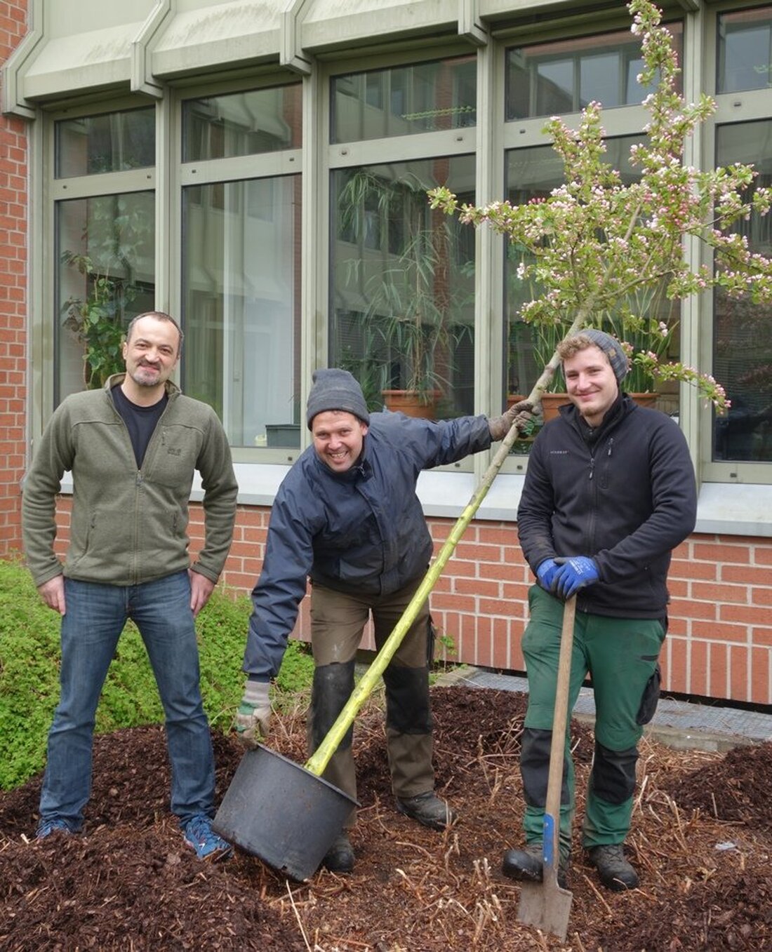 Weiden. “Wenn ich wüsste, dass morgen die Welt unterginge, würde ich heute einen Apfelbaum pflanzen”, so wird Martin Luther gern zitiert. Wortwörtlich nahmen die Fachleute der Stadtgärterei das war nicht: Ein Apfelbäumchen [&hellip;]