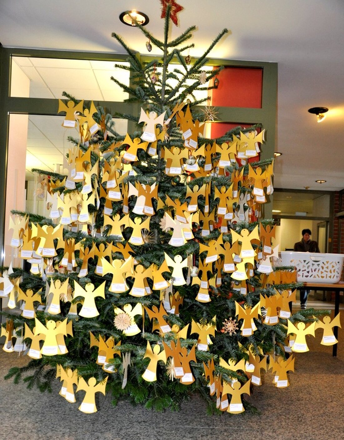 Weiden. Die Aktion “Ein Baum für Weiden” vermisst 24 Weihnachtsengel. Eigentlich hätten die Engel schon am Montag alle zurück im Rathaus sein sollen. Einige haben es aber wohl noch nicht [&hellip;]