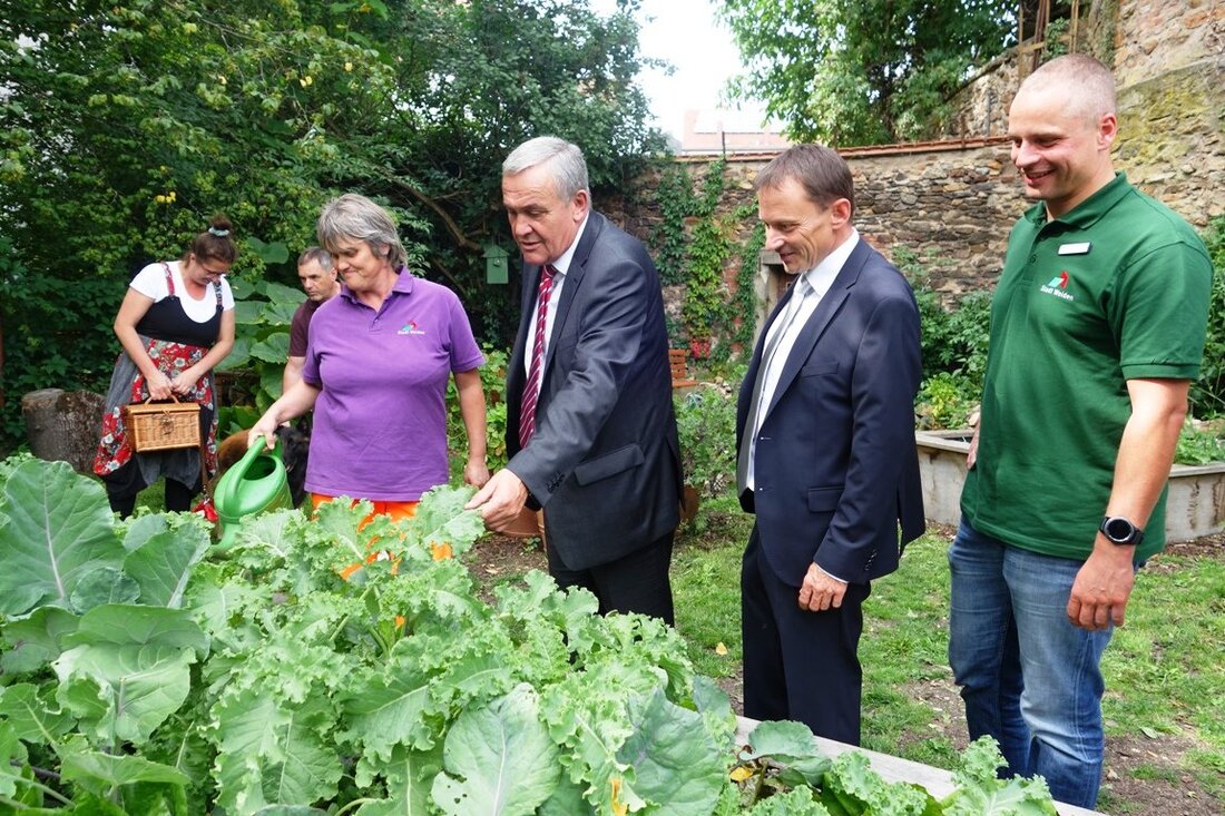 Weiden. Am Dienstag eröffneten Oberbürgermeister Kurt Seggewiß und Bürgermeister Jens Meyer die Erntesaison in den öffentlichen Gärten der Stadt Weiden an der Kurt Schuhmacher-Allee. Von der Erntereife der verschiedenen Obst- [&hellip;]