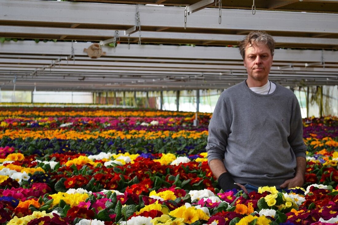 Fuchsmühl. Von den Auswirkungen des Coronavirus sind fast alle Firmen betroffen. Ganz besonders hart erwischt hat es die Gärtnereien und Floristen. In ihren Gewächshäusern und Blumenläden grünt und blüht es, [&hellip;]