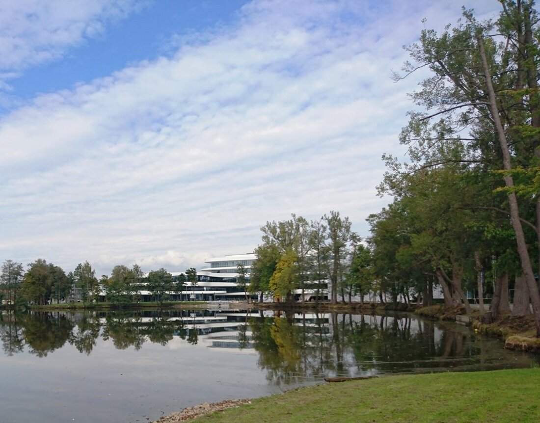 Weiherhammer. Es gab schon länger Gerüchte, dass es nicht so läuft wie gewollt, beim neuen Restaurant und der Kantine der BHS Corrugated in Weiherhammer. Jetzt wirft der Küchenchef Thomas Wenger [&hellip;]