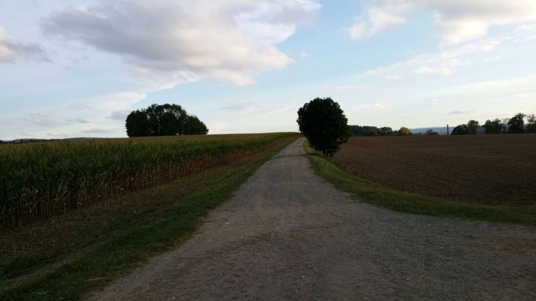 Störnstein. Die Feldwege in der Gemeinde sind in schlechtem Zustand. Sie seien in den letzten Jahren vernachlässigt worden, sagt Bürgermeister Markus Ludwig im Gemeinderat. Die Feldwege wie auch marode Gehwege [&hellip;]