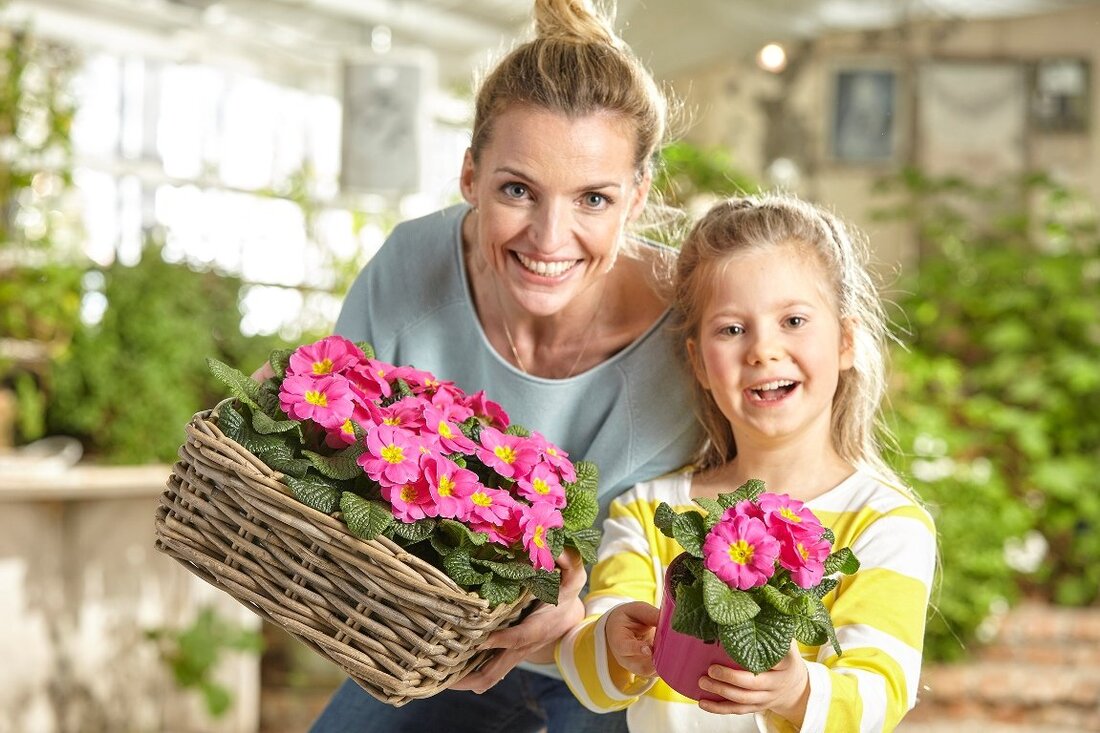 [Advertorial] Weiden. Der Winter neigt sich langsam dem Ende entgegen und alle Gartenfans sehnen sich nach dem Frühling. Jetzt wird es wieder Zeit, draußen zu gärtnern! Damit das neue Gartenjahr gleich [&hellip;]