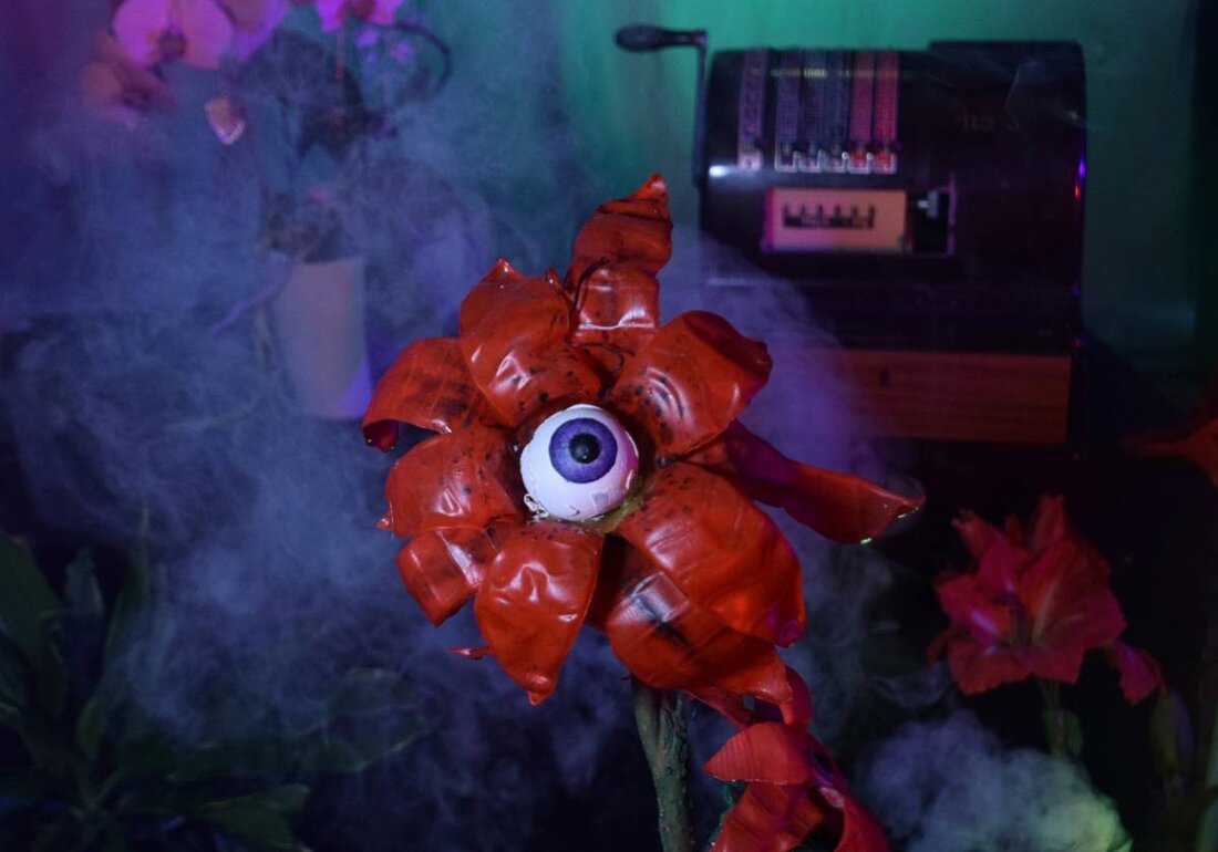 Schnaittenbach. Die Freilichtbühne am Buchberg präsentiert vom 24. Mai bis 8. Juni 2025 das kultige Musical "Der kleine Horrorladen" in der Buchberghütte. Tickets sind auf okticket.de erhältlich.