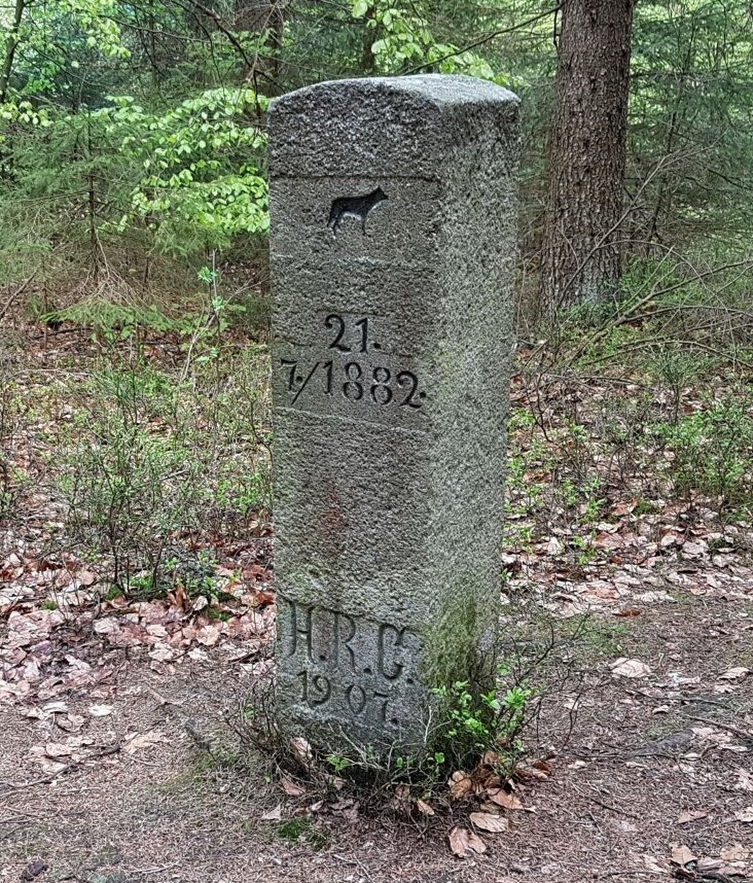 Kirchenthumbach. Der Marktgemeinderat fordert angesichts zunehmender Wolfsattacken eine Überprüfung und Absenkung des Schutzstatus der Wölfe. Wölfe bedrohen zunehmend Menschen und Nutztiere, was zu Ängsten in der Bevölkerung führt.