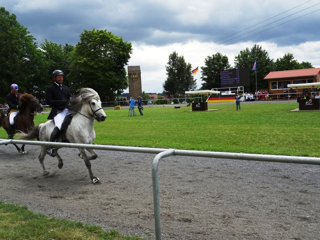 Wurz. Ein Pferd verletzte gestern eine Pferdetrainerin (36) im Gesicht, als es vor einem Hund, der nicht angeleint war, erschrak. Am Montagnachmittag ließ eine Frau (45) aus dem Landkreis Tirschenreuth [&hellip;]