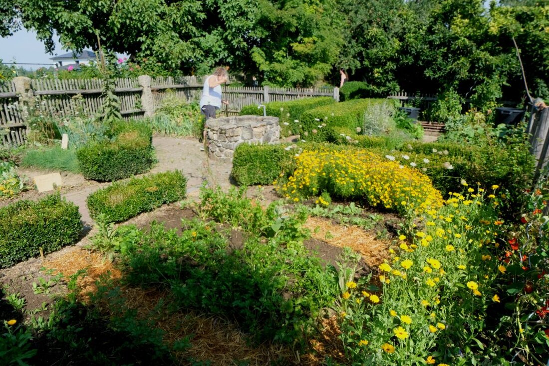 Floß. Die Diebstähle von Gemüse und Obst aus dem Kreislehrgarten häufen sich trotz Hinweisschilder. Der Obst- und Gartenbauverein will Täter zur Anzeige bringen.