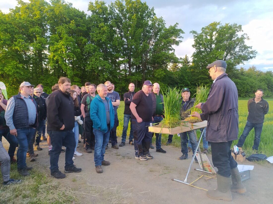 Harlesberg. Am 20. Mai 2025 fand ein Praxisabend zur Direktsaat von Winterweizen statt, der innovative Sämethoden vorstellte und die Vorteile der Direktsaat überzeugend darbot.