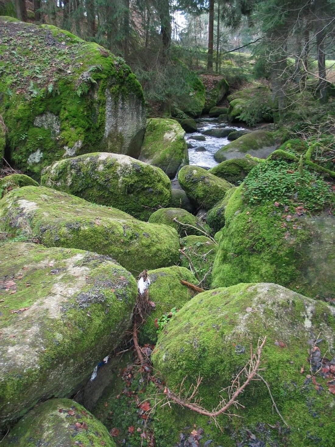 Floß/Diepoldsreuth. Das älteste Naturschutzgebiet erkunden, mystische Geschichten und Gedichte dazu hören und einen Tag mit der ganzen Familie verbringen: Das könnt ihr am Ostermontag bei einer Führung durch den Doost [&hellip;]