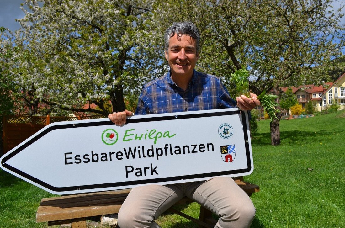 Waldeck. Zurück zur Natur und zu dem, was sie uns schenkt: Köstliche und gesunde Wildpflanzen, zu entdecken bald wieder im Essbaren Wildpflanzenpark (EWILPA) Waldeck. Von Udo Fürst Sie heißen „Waldecker wilde [&hellip;]