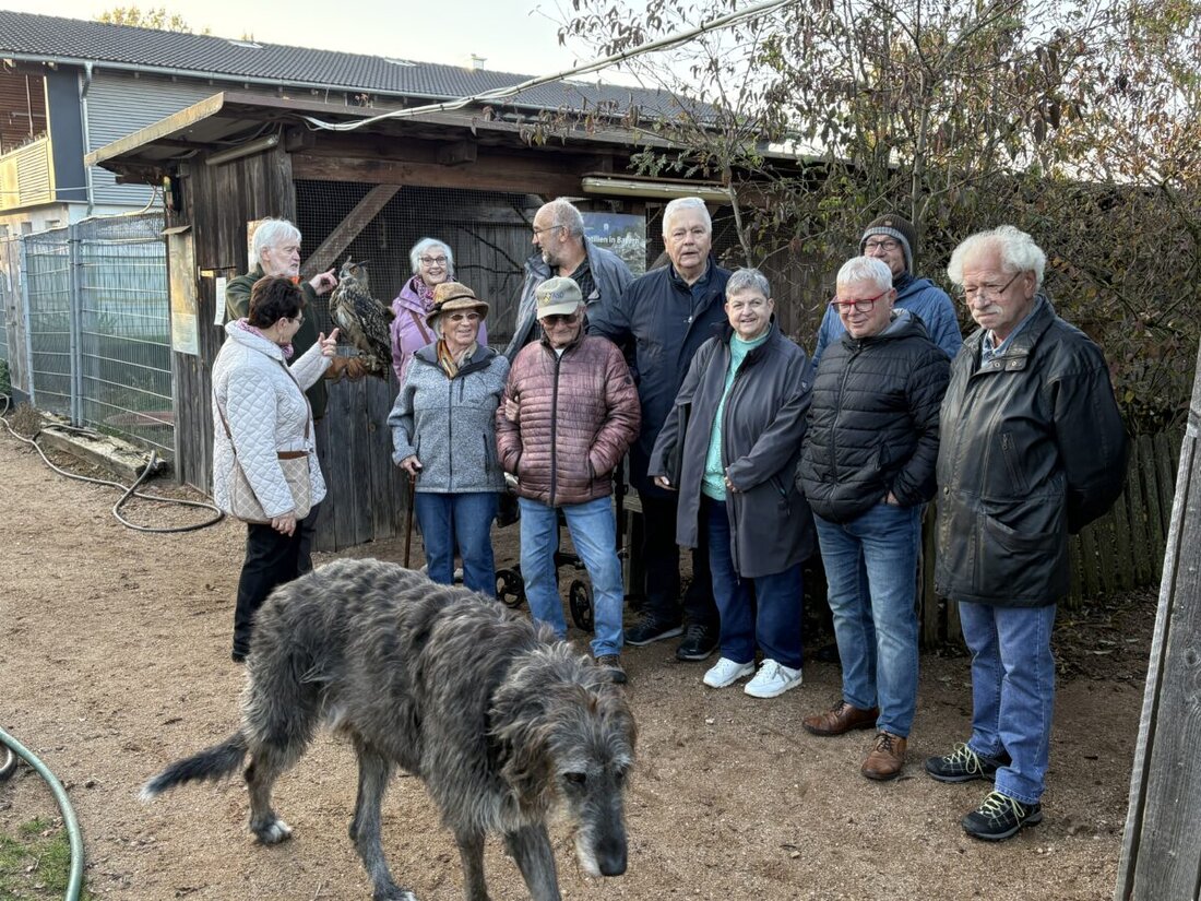 Amberg-Sulzbach. In Kümmersbuch lebt die Tier-Auffangstation „Das Nest“ von Spenden und Ehrenamt, staatliche Hilfe gibt es nicht. Jährlich werden rund 350 Tiere zusätzlich versorgt, und SPD 60plus ruft zum Mithelfen auf.