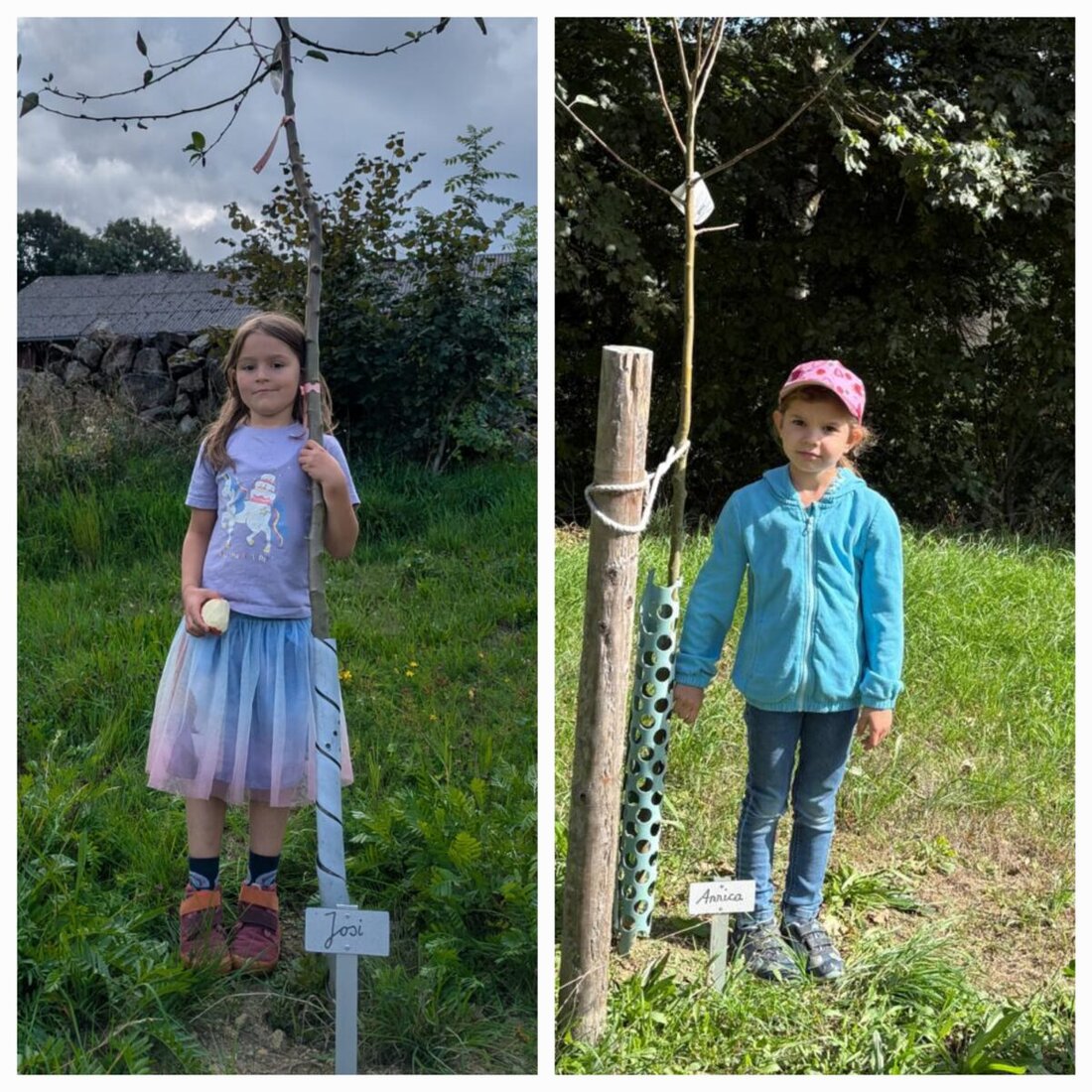 Burkhardsrieth. In Burkhardsrieth erhalten die Kinder zur Einschulung vom Obst- und Gartenbauverein jedes Jahr ein ganz besonderes Geschenk. Ein eigener Streuobstbaum für jedes Schulkind beschert nicht nur den Kindern eine Freude, sondern schmückt auch die Streuobstwiese im Dorf.