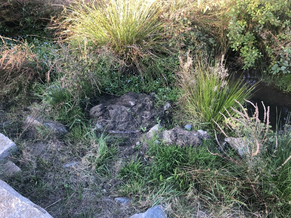 Letzau. Eintausend Euro sind in der Gemeinde ab sofort für die Haltung eines Listenhundes fällig. Dafür soll ein Hund aus dem Tierheim für das erste Jahr komplett von der Steuer [&hellip;]