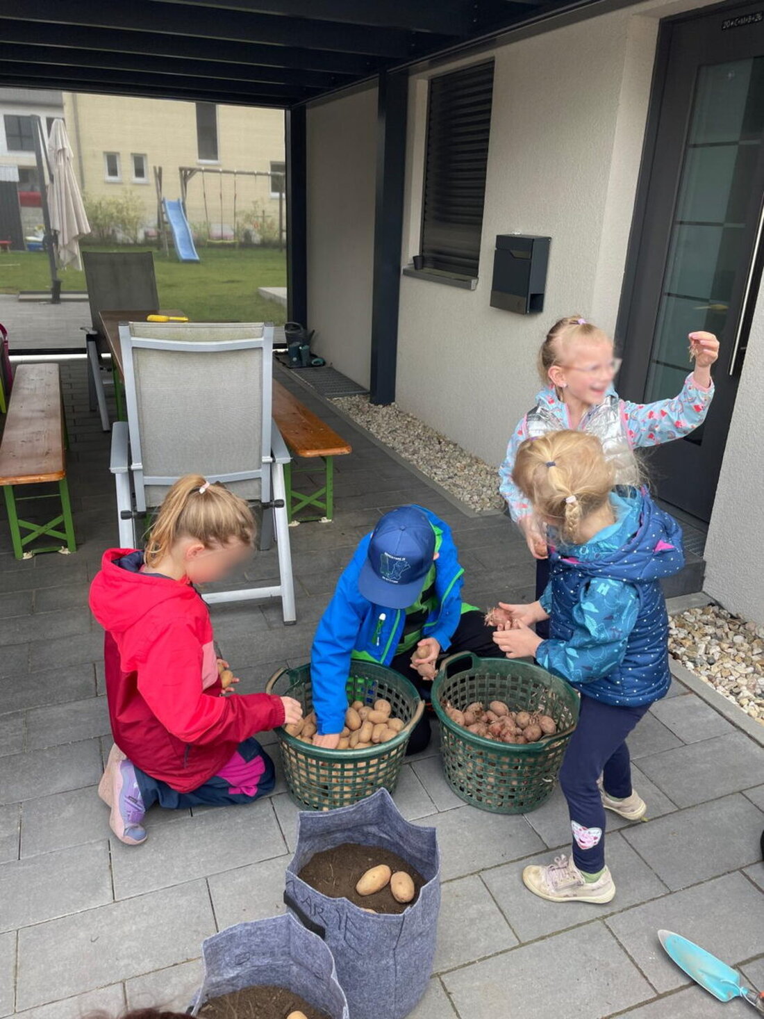 Schirmitz. Mit viel Begeisterung starteten die Kindergruppen des OGV in ihre erste Aktion rund um den Kartoffelanbau. Vorgestellt wurden die Sorten Laura und Goldmarie; die Gruppen sind voll besetzt.
