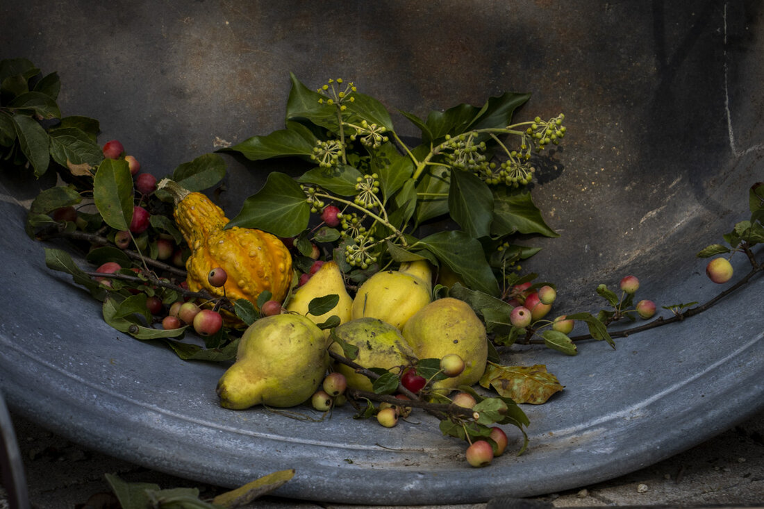 Neustadt. Am Sonntag lädt der zweite Erntedankmarkt vor der Stadthalle von 11 bis 17 Uhr zu Musik, Tanz, regionalen Schmankerln und Kunsthandwerk ein.