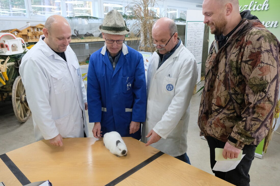 Eschenbach. Die Kleintierkreisschau lockte mit den besten Züchtungen des Jahres und Glanzleistungen wie "vorzüglich" Bewertungen nach Eschenbach. Über 500 Tiere wurden von Züchtern und Besuchern gefeiert, Highlights waren Preise auf Bundes- und Landesebene.