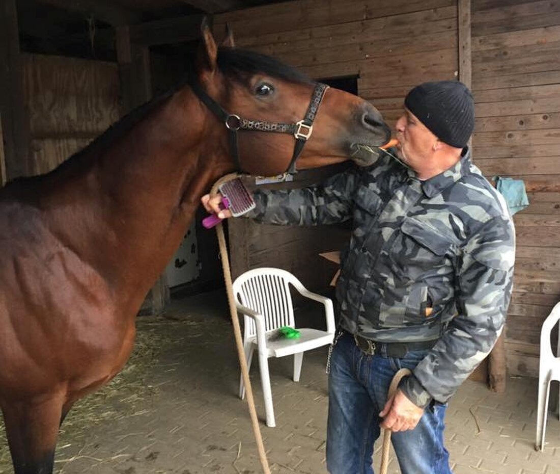 Leuchtenberg/Weiden. Eine traurige Geschichte endete mit einem Happy End: Drei Oberpfälzer bewiesen ein Herz für Tiere als sie fünf verwahrloste Pferde aus Leuchtenberg retteten. Für ihre Hilfsaktion gewannen die drei sogar [&hellip;]