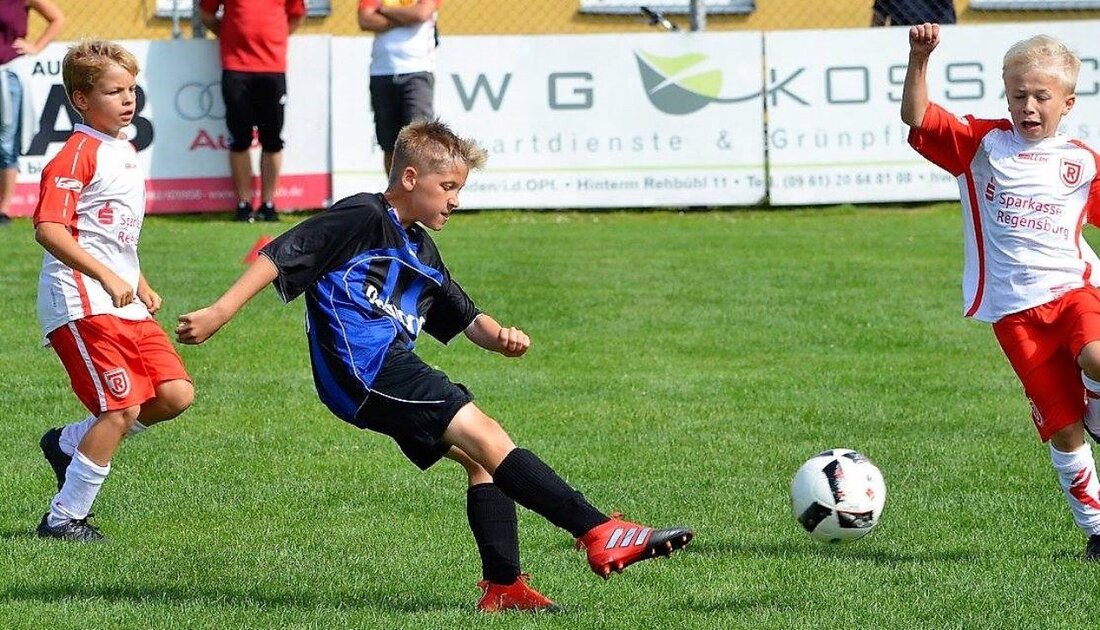 Weiden. Über 200 Kinder und mindestens ebenso viele Eltern haben am Wochenende im Sparda-Bank-Stadion des Fußball-Bayernligisten SpVgg SV Weiden ihren gemeinsamen Familientag gefeiert. Dabei bekamen die Bescher nicht nur einen [&hellip;]