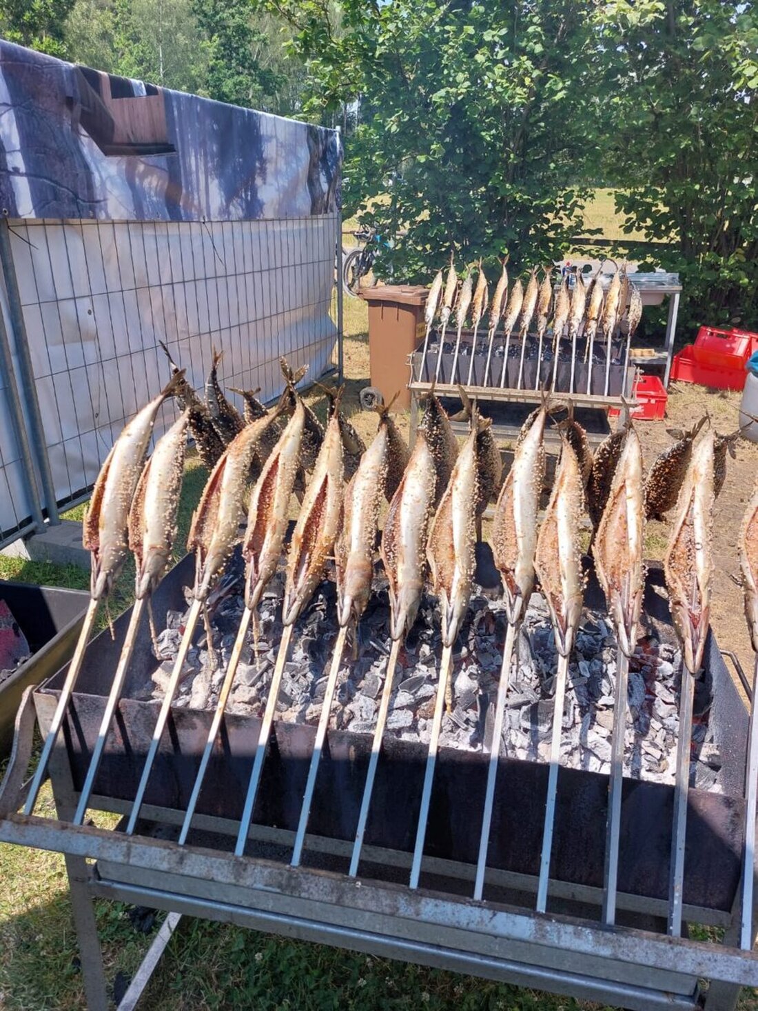 Schönhaid. Der Fischereiverein Wiesau feierte am 13. und 14. Juni 2026 sein 50-jähriges Jubiläum mit einem lebhaften Fischerfest an der Kipp. Viele Gäste genossen Musik, Gottesdienst und beste Stimmung auf der Liegewiese.