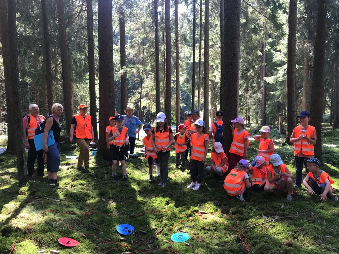 Waidhaus. Das Feriencamp "Xund ins Leben" mit Sport- und Kreativwochen für 6-12-Jährige findet schwache Akzeptanz, unterstützt von mehreren Gemeinden inkl. Bustransfer. Kosten pro Woche: 200 Euro, lokale Unterstützung halbiert den Preis für Gemeindekinder.